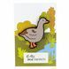 , Goose